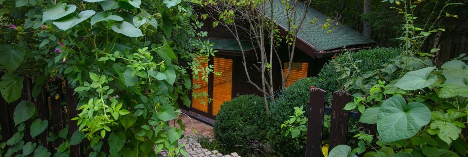 my woodworking workshop