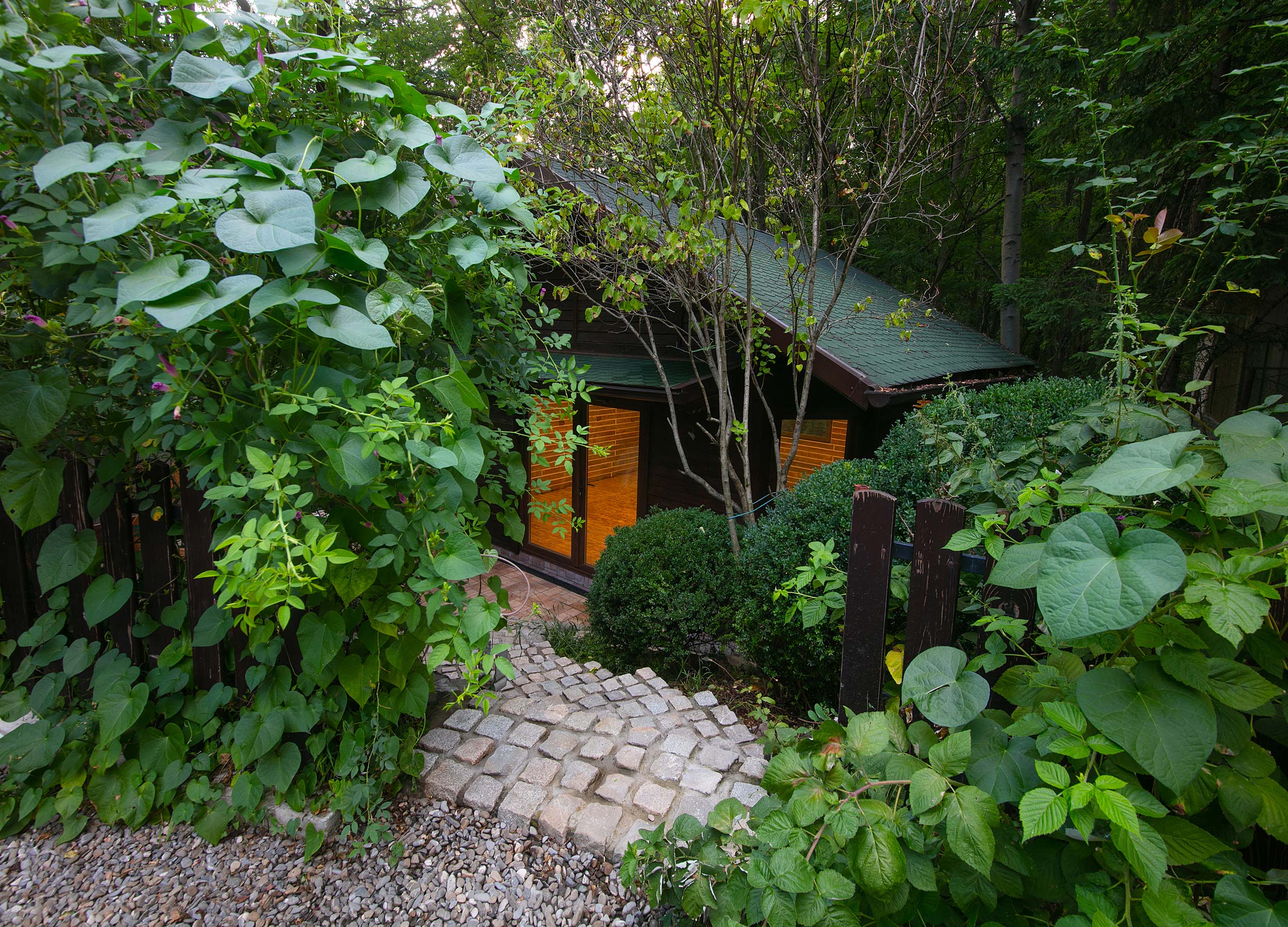 my woodworking workshop